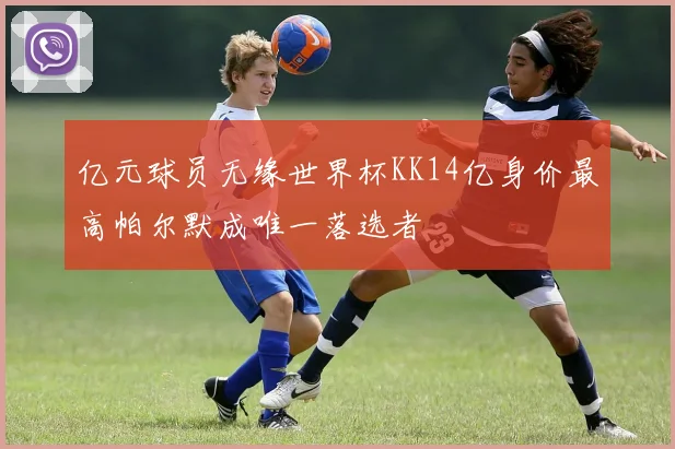 亿元球员无缘世界杯KK14亿身价最高帕尔默成唯一落选者